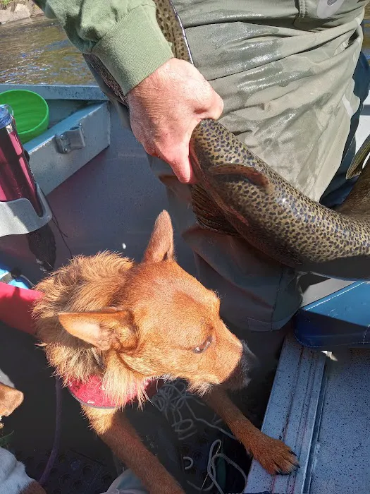 Brown's Campground Picture 4