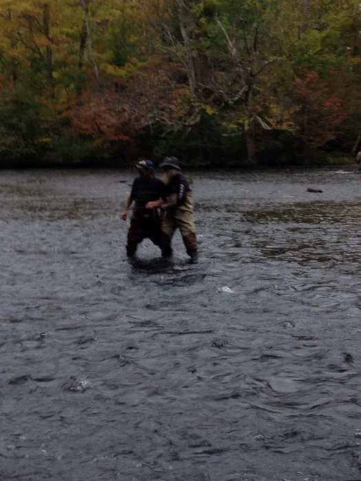 Brown's Campground Picture 1