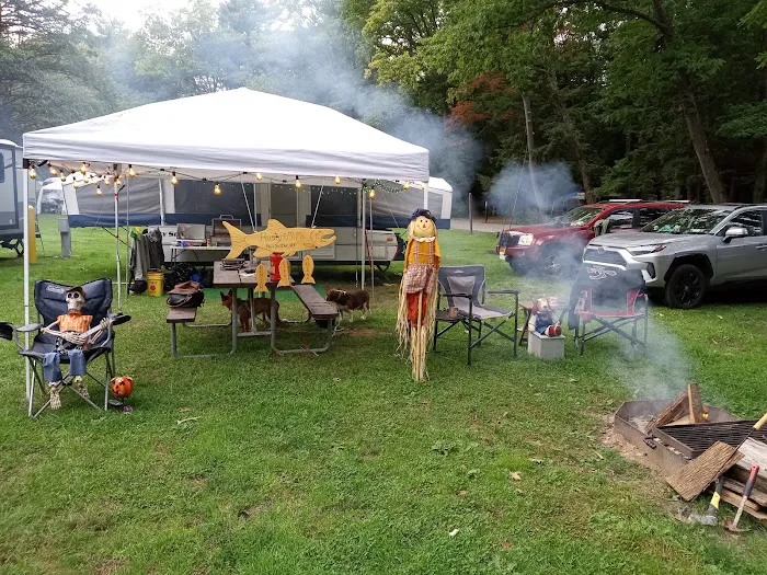 Brown's Campground Picture 9