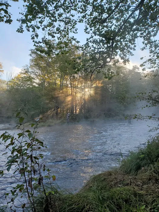 Brown's Campground Picture 7