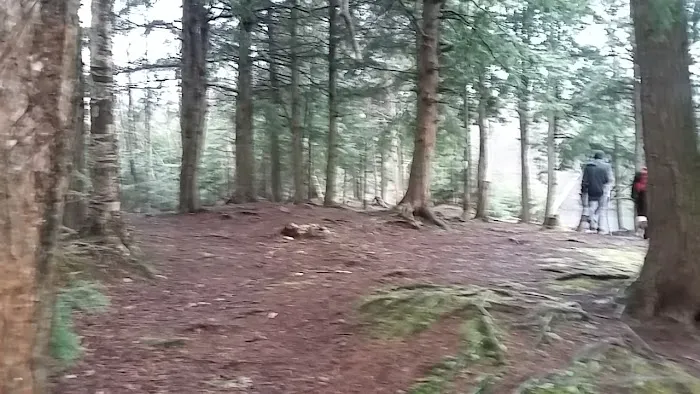 Hall Island Picture 7