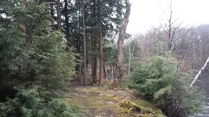 Hall Island Picture 4