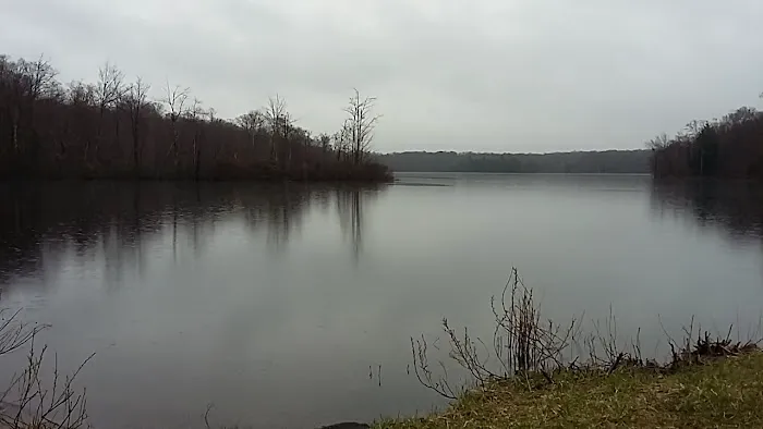 Hall Island Picture 3