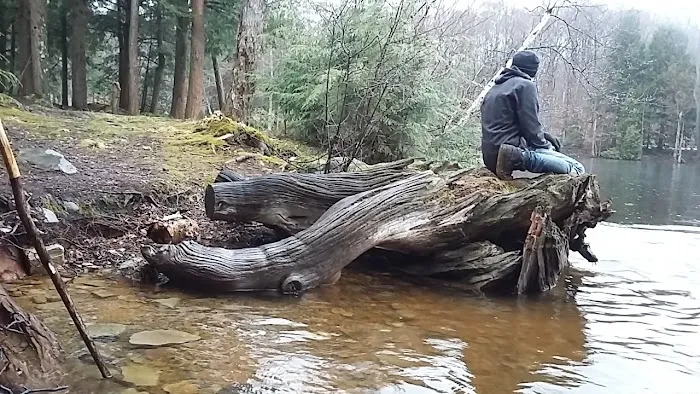 Hall Island Picture 2