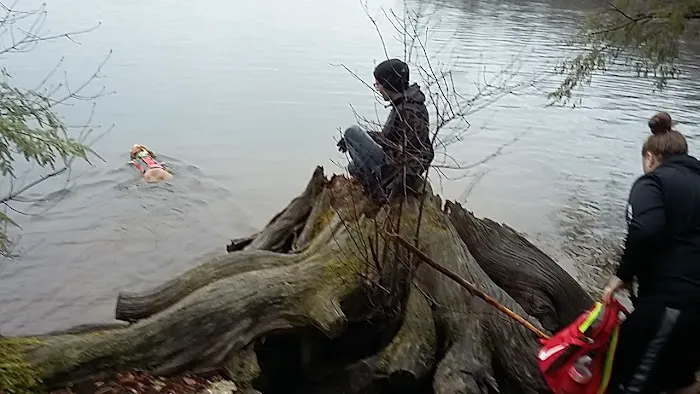 Hall Island Picture 1