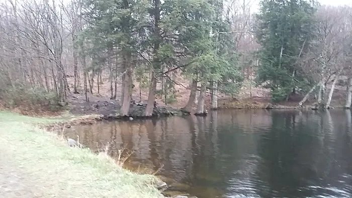 Hall Island Picture 6