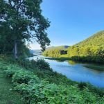 Sons and Daughters of Italy Campground