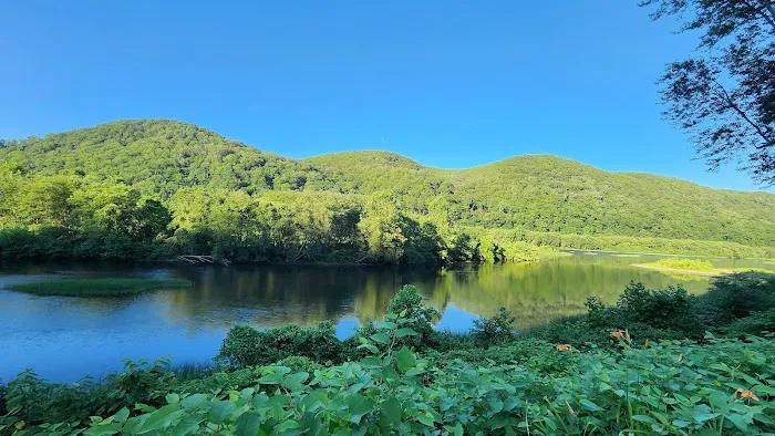 Sons and Daughters of Italy Campground Picture 2