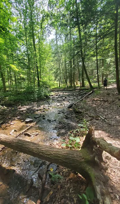 Little Buffalo State Park Recreation Hall Picture 3