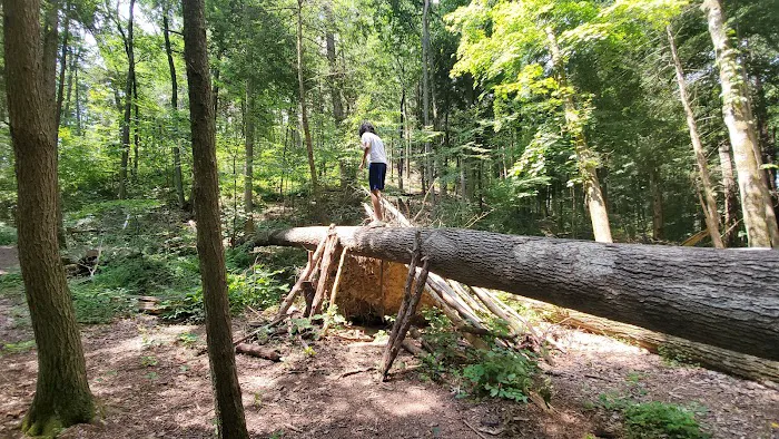 Little Buffalo State Park Recreation Hall Picture 4