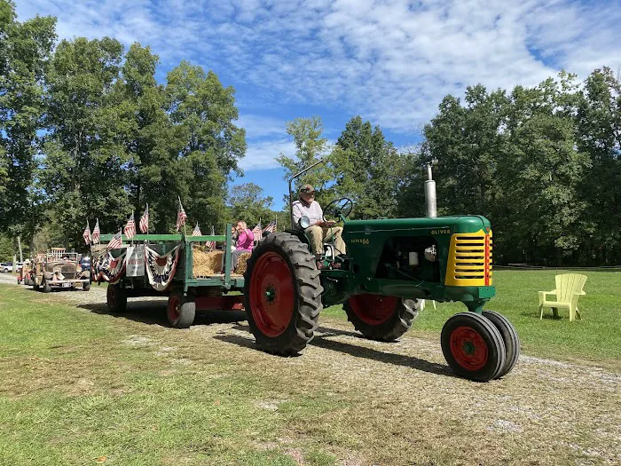 Lupfer's Grove & Campground Picture 4