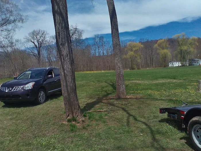 Lupfer's Grove & Campground Picture 8