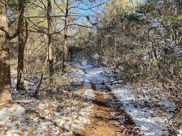 Hemlock Acres Campground Picture 8