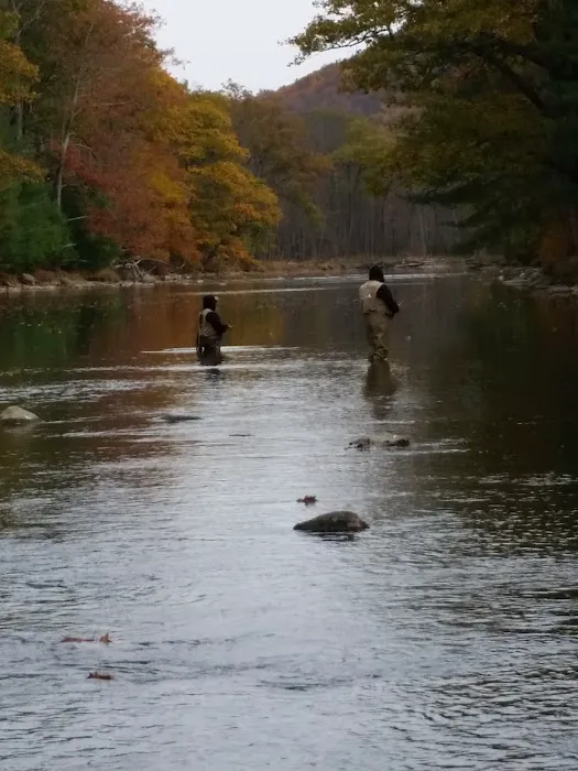 Hemlock Acres Campground Picture 3