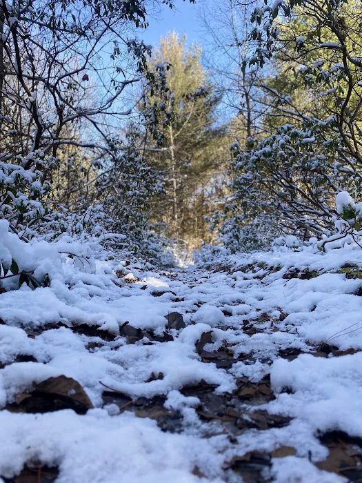 Hemlock Acres Campground Picture 7