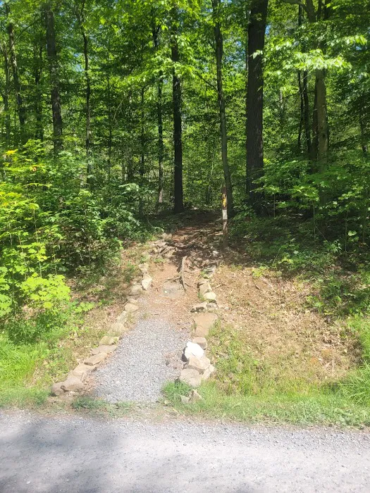 Bald Eagle Rustic Campground Picture 3