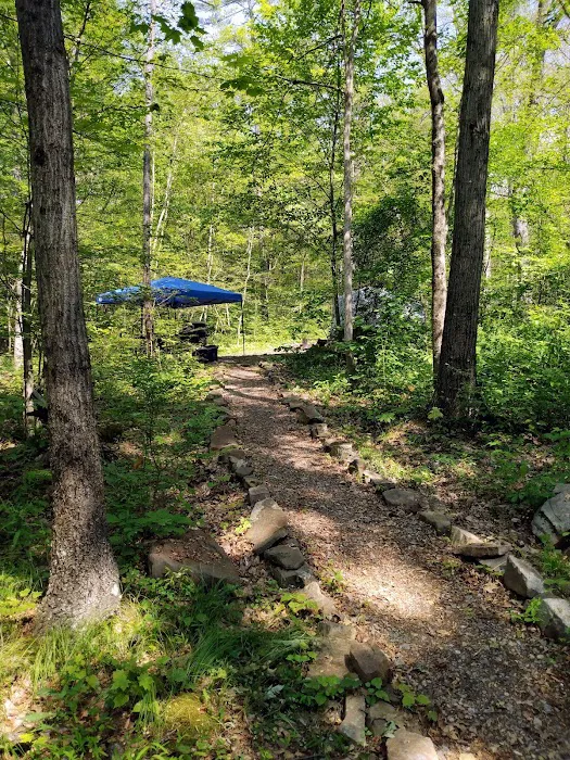Bald Eagle Rustic Campground Picture 6