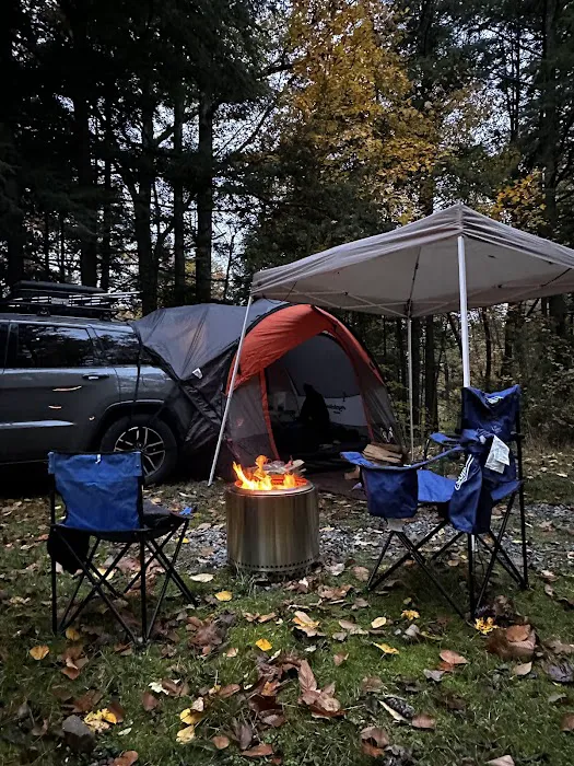 Bald Eagle Rustic Campground Picture 1