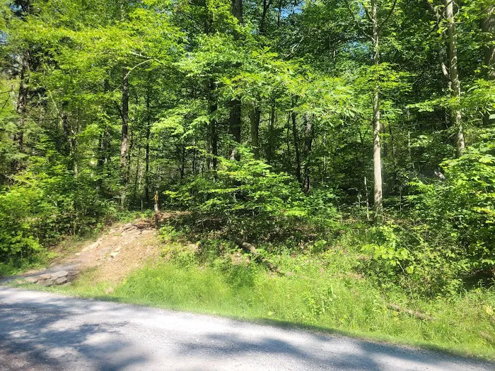 Bald Eagle Rustic Campground Picture 8