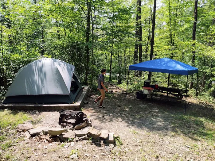 Bald Eagle Rustic Campground Picture 7