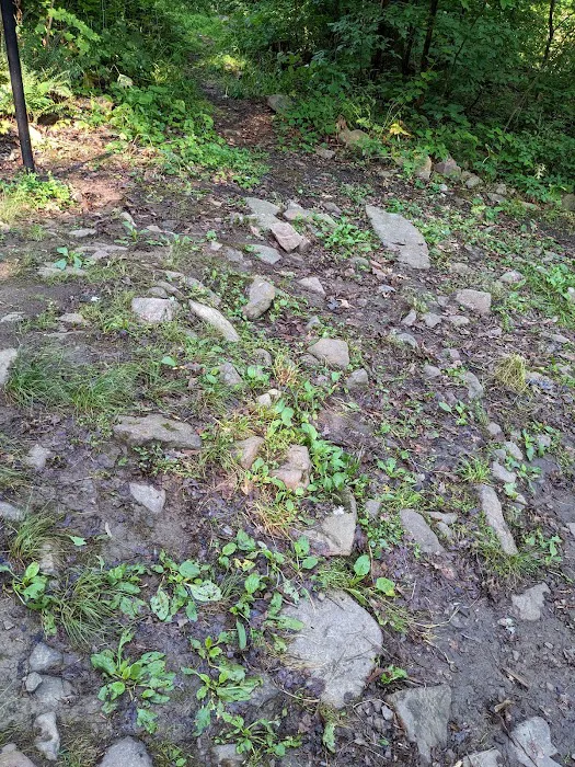 Bald Eagle Rustic Campground Picture 9