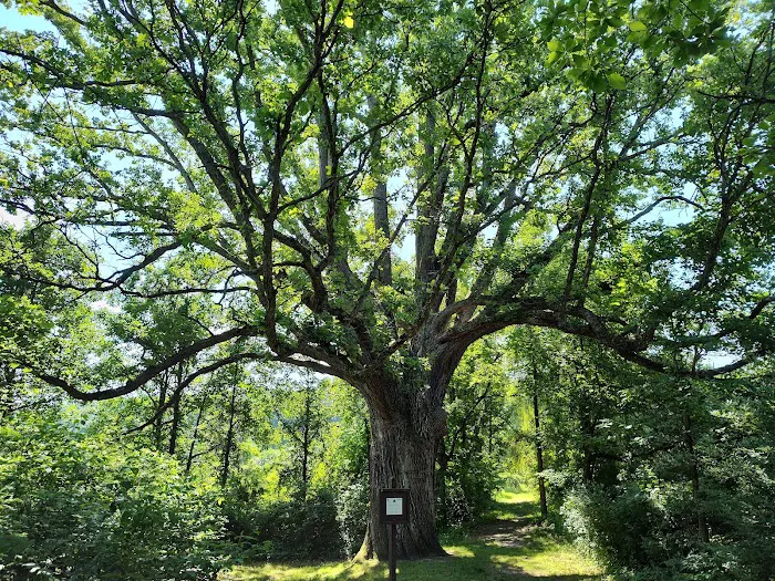 Russell P. Letterman Campground Picture 10