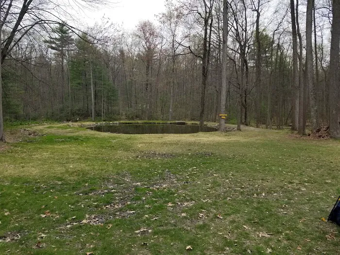 Camp Pioneer Picture 6