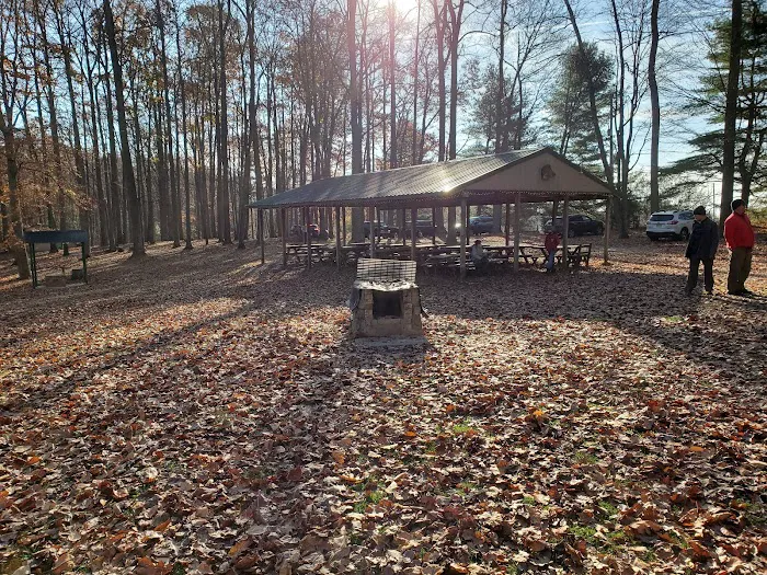 Camp Pioneer Picture 2