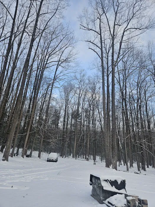 Camp Pioneer Picture 8