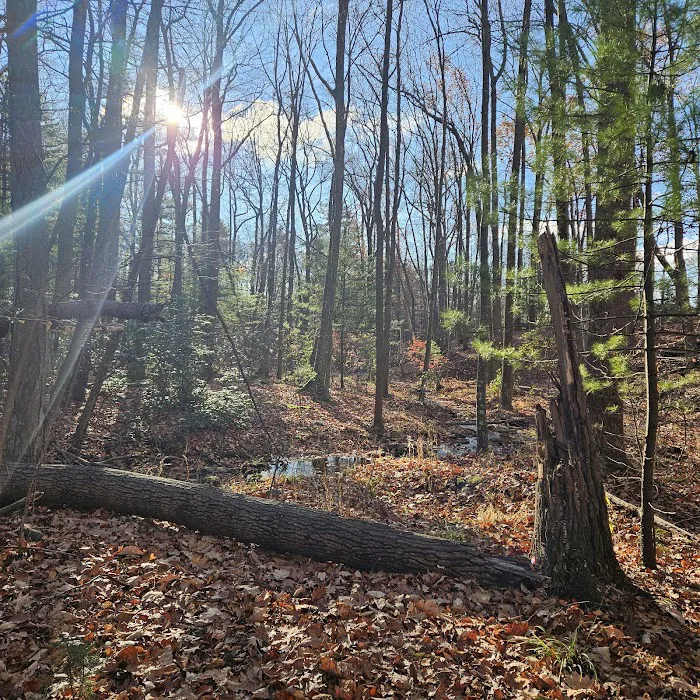 Camp Pioneer Picture 7