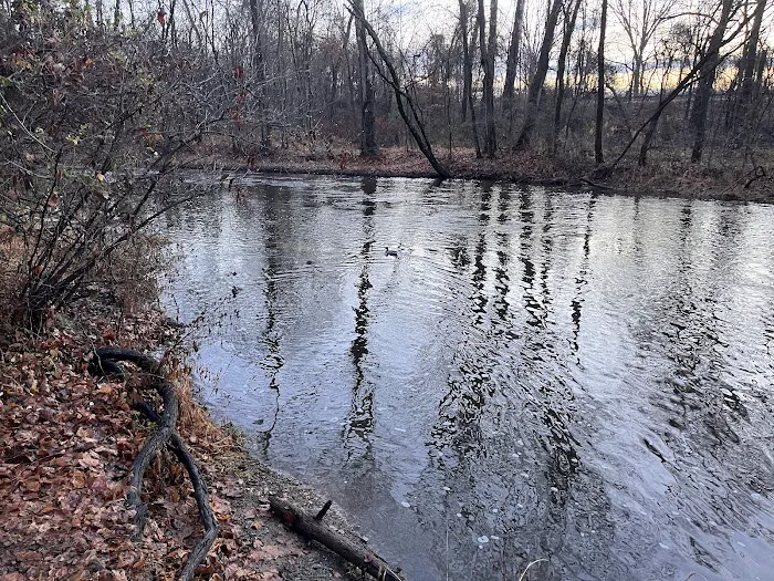 AT Campground Picture 6