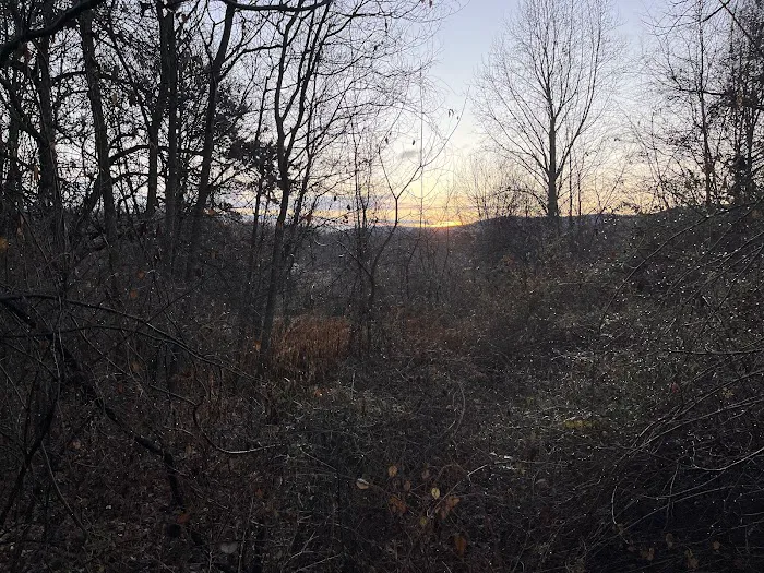 AT Campground Picture 5