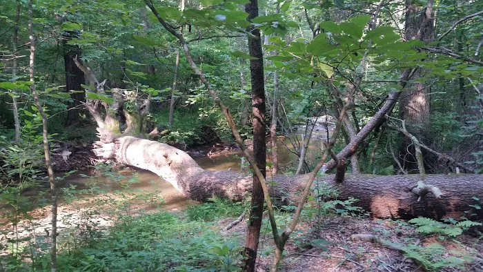 Cherokee Campground & Family Picture 4