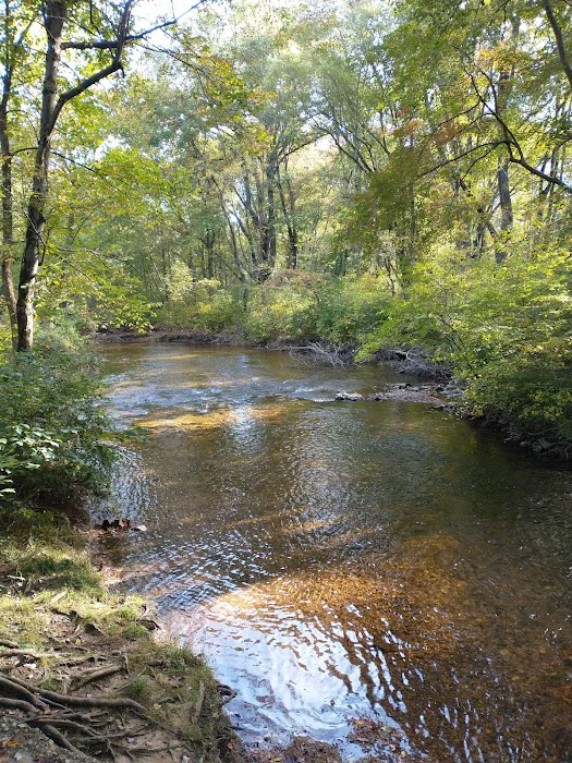 349 Pine Grove Rd Picture 1