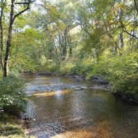 349 Pine Grove Rd ico