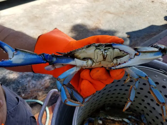 Beach Harbor Camper's Co-Op Picture 1