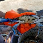 Beach Harbor Camper's Co-Op