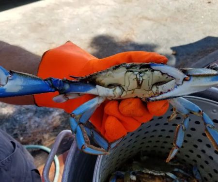 Beach Harbor Camper's Co-Op