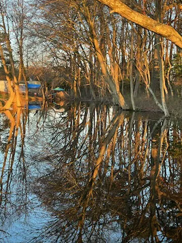 Camp Thomas by the Lake Picture 3