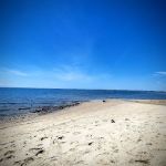 Roaring Point Campground