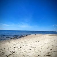 Roaring Point Campground ico