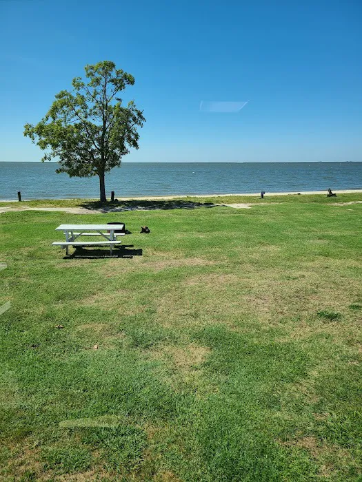 Roaring Point Campground Picture 9