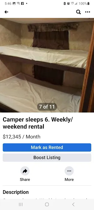 2peasinpod2023 Picture 1