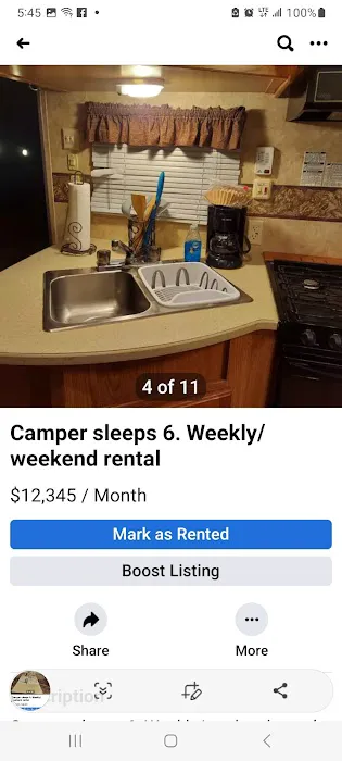 2peasinpod2023 Picture 3