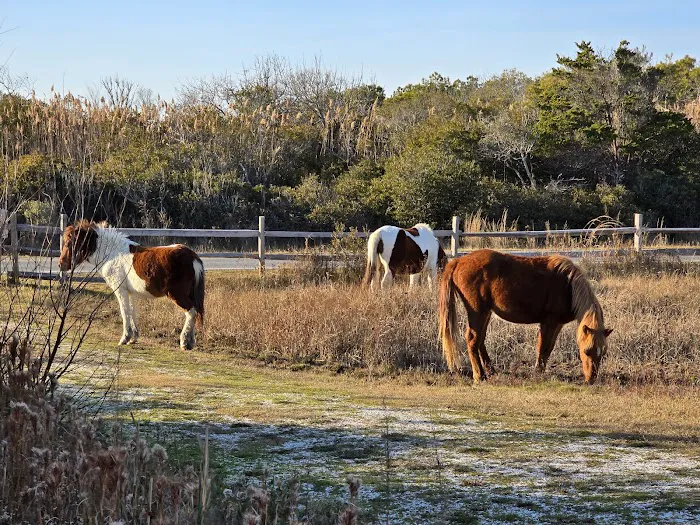 Horse Campground Reservation Picture 1