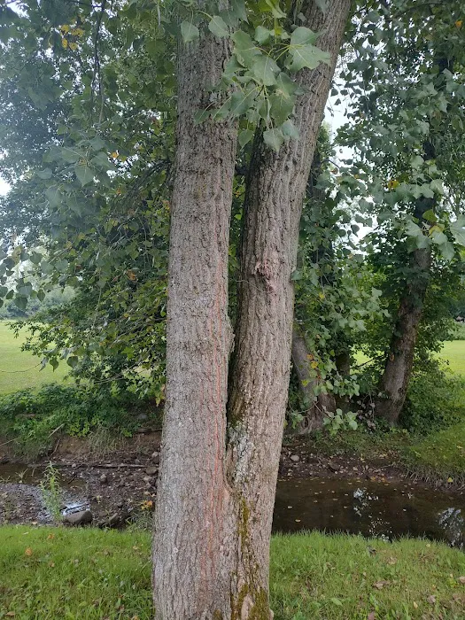 Hejamada Campground & RV Park Picture 9