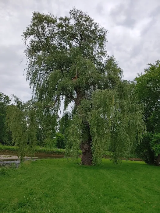 Cheerful Valley Campground Picture 1