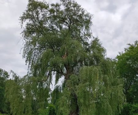 Cheerful Valley Campground