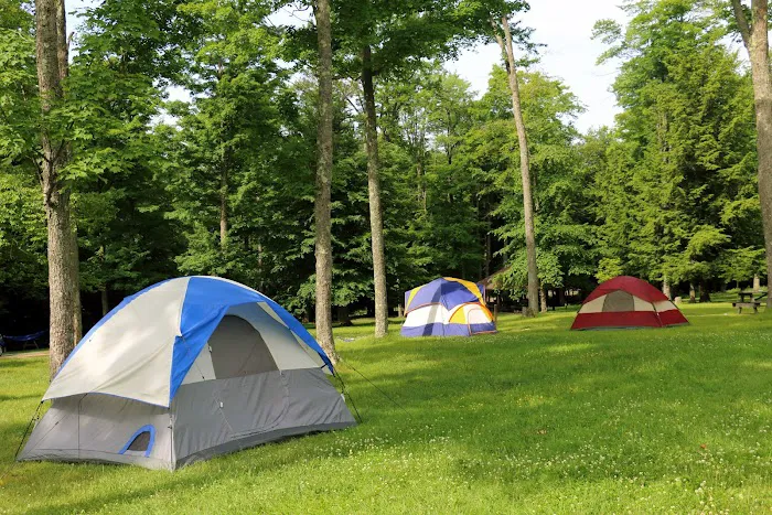 Cherry Springs State Park Rustic Campground Picture 1
