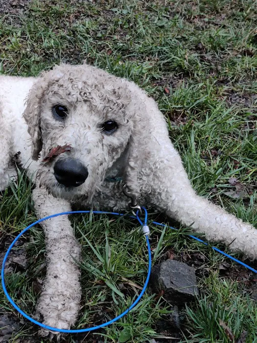 Potter County Family Campground Picture 1